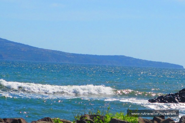 photo 1659186