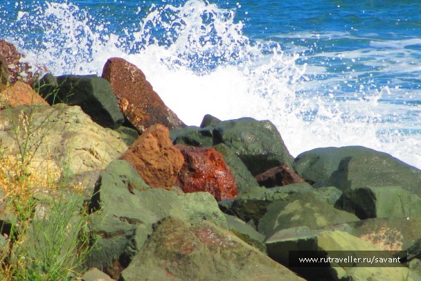 photo 1670121
