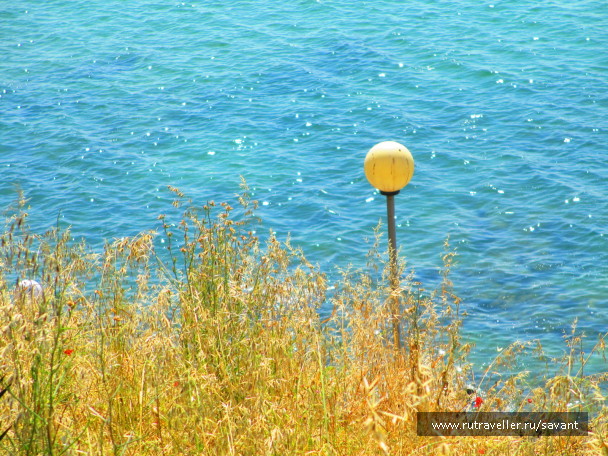 photo 1682231