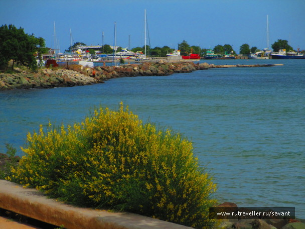 photo 1683770