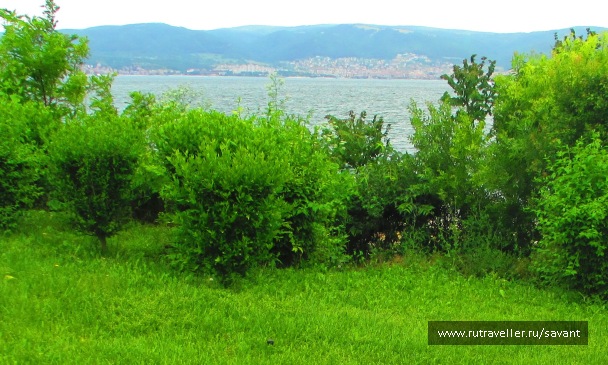 photo 1734823