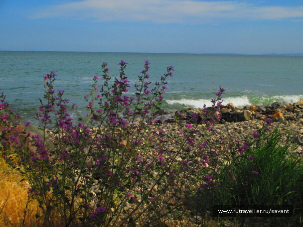 photo 1749964