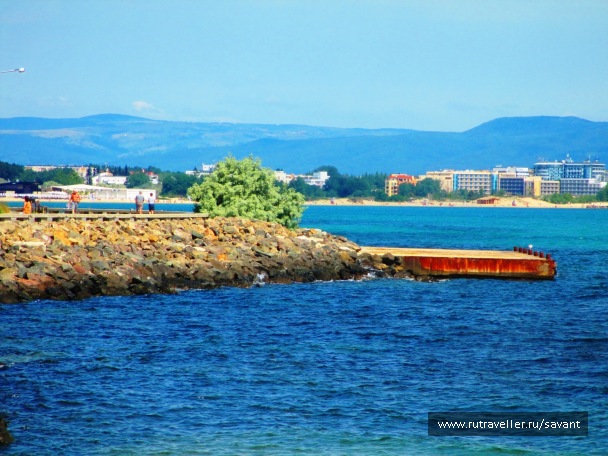 photo 1778216