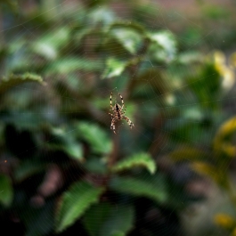 photo 872851