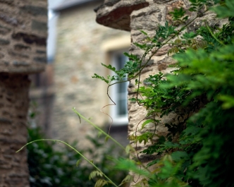 photo 872855