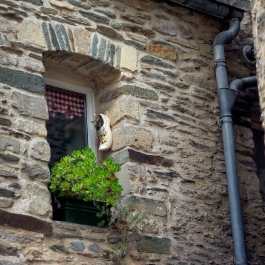 photo 872856