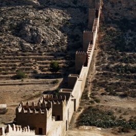 photo 882282
