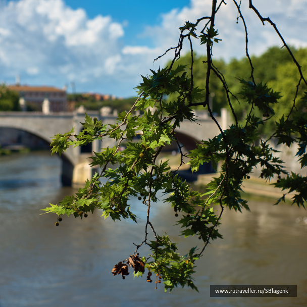 photo 1498152