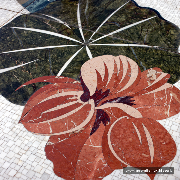 photo 1498809