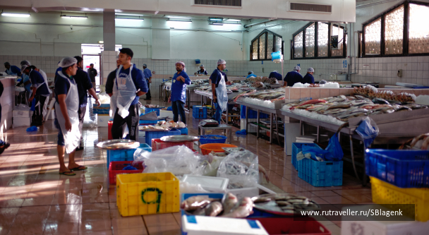 photo 1498852