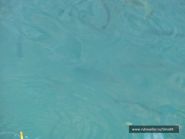 photo 424503