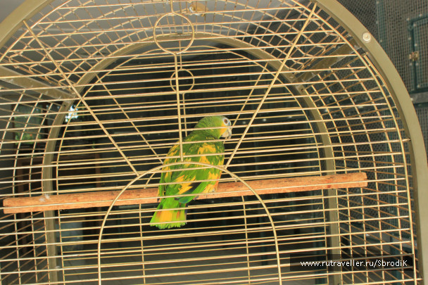 photo 422938