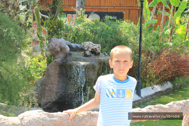 photo 422942
