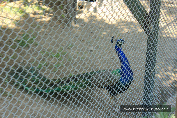 photo 422944