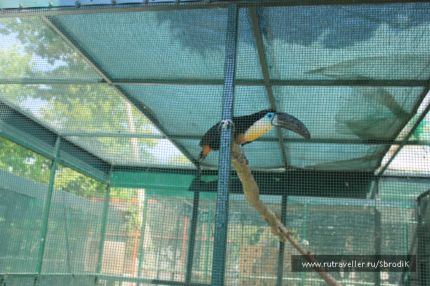 photo 422945