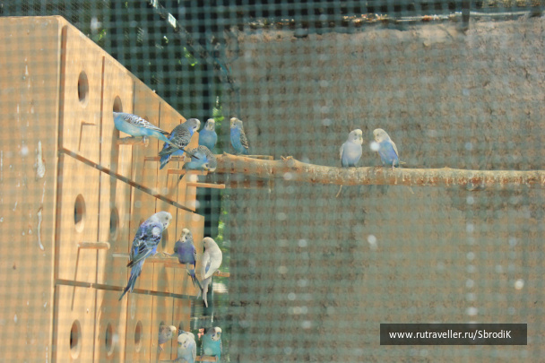 photo 422946