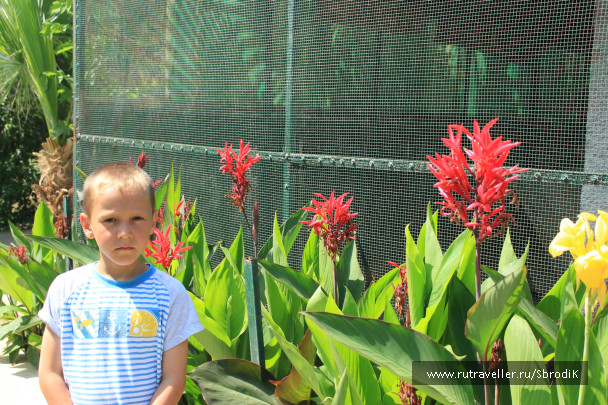 photo 422948