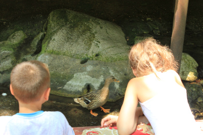 photo 422976