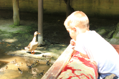 photo 422977