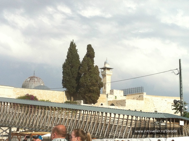 photo 740389