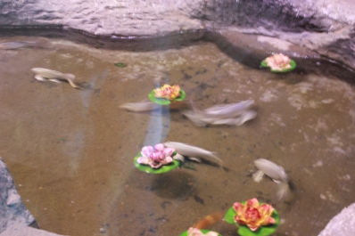 photo 886478