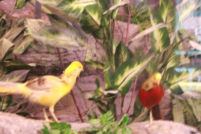 photo 886479