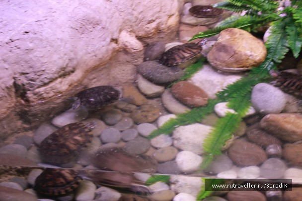 photo 886482