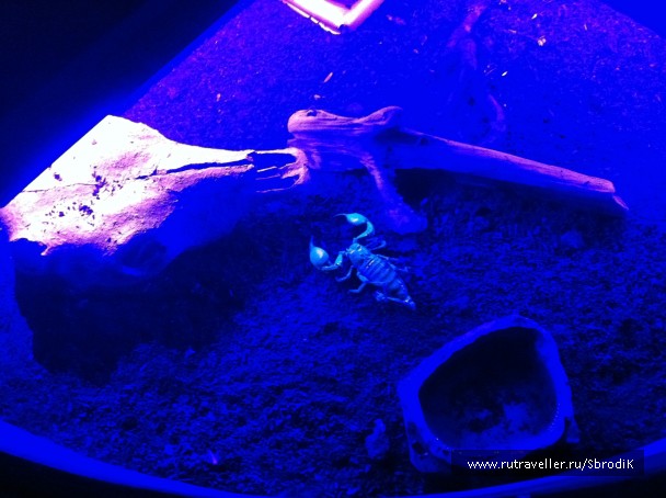 photo 886496