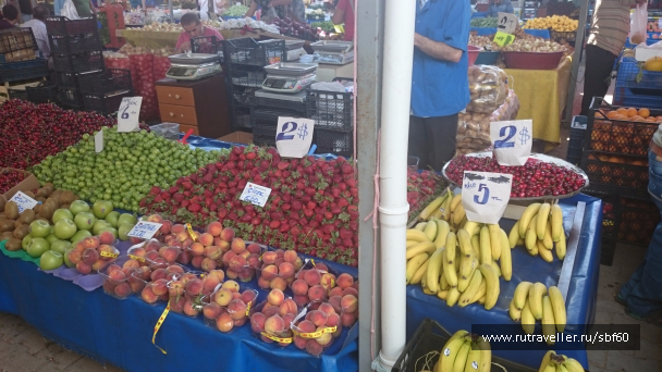 photo 1069686