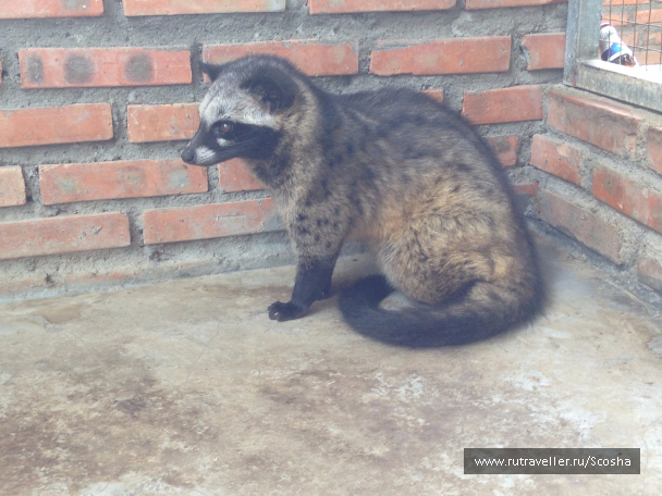 photo 1258594