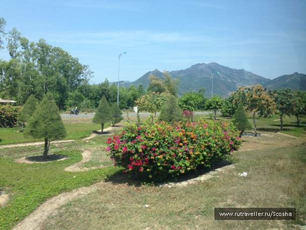 photo 1258601