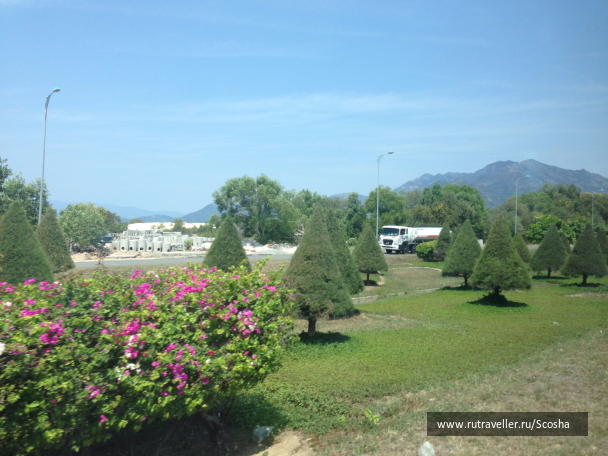 photo 1258602