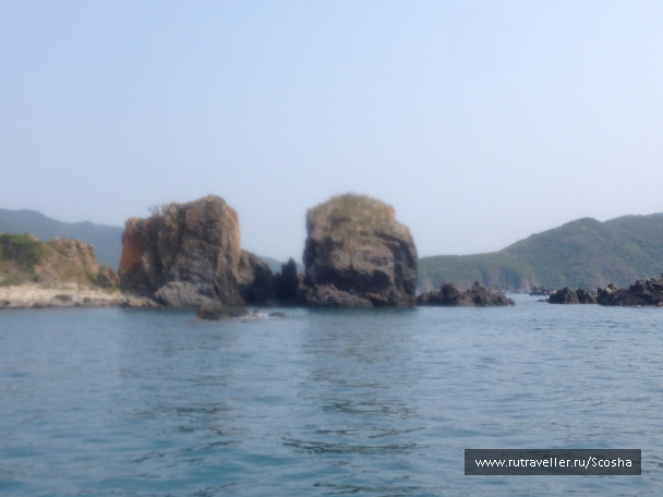 photo 1258611
