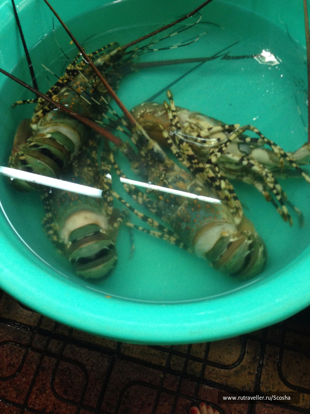photo 1258586