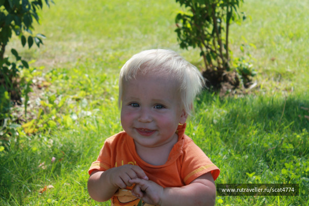 photo 541717