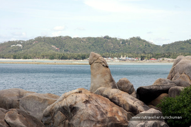 photo 144763