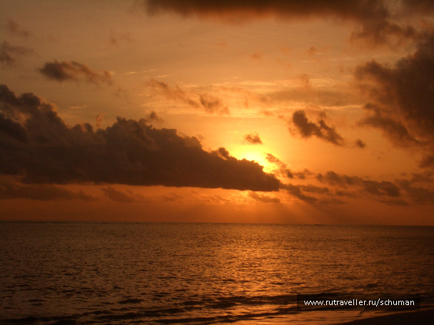 photo 147374