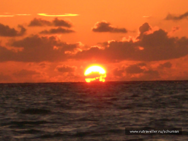 photo 147377