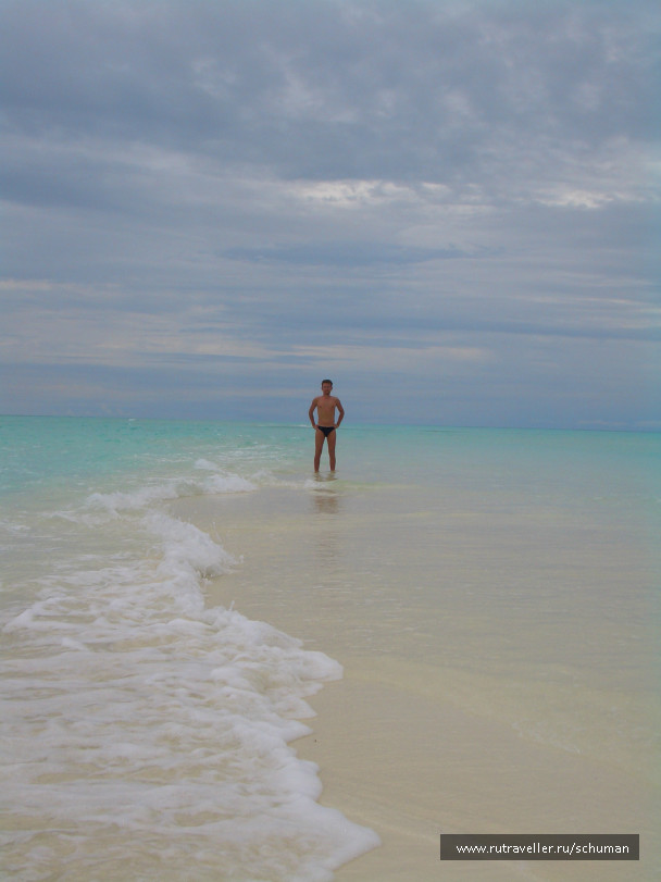 photo 147384