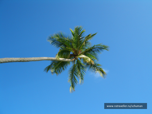 photo 147396