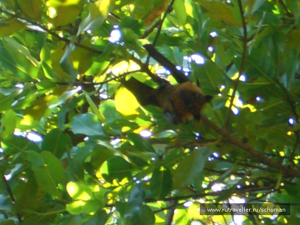 photo 147401