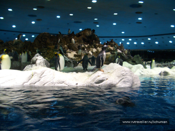 photo 148287