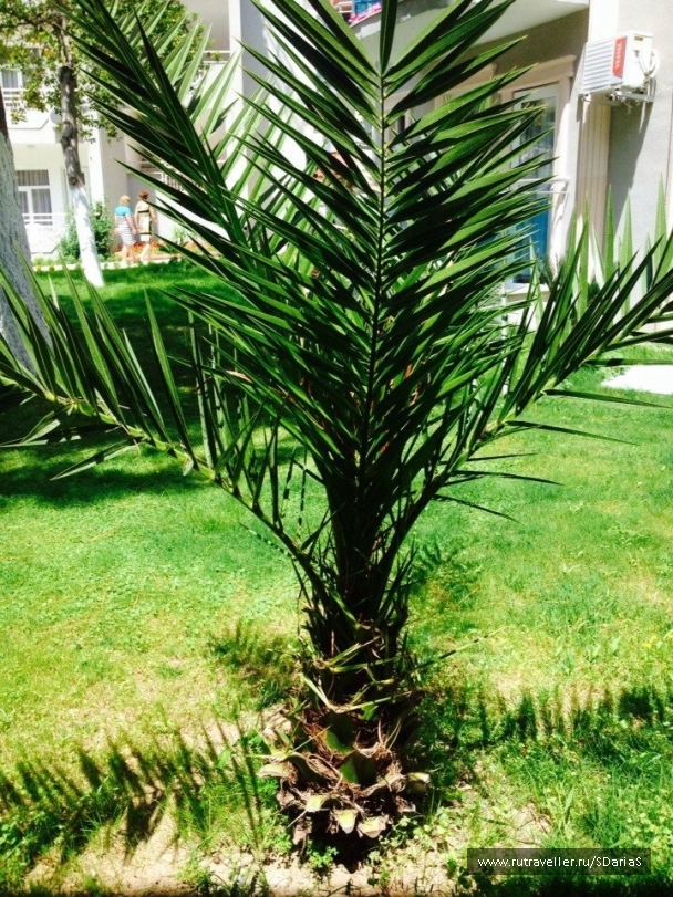 photo 740225