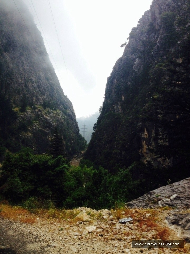 photo 740254