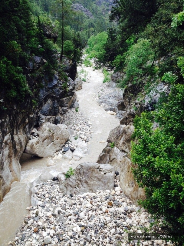 photo 740255