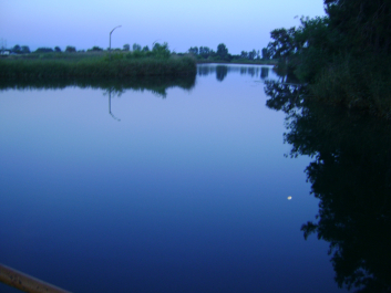 photo 706105