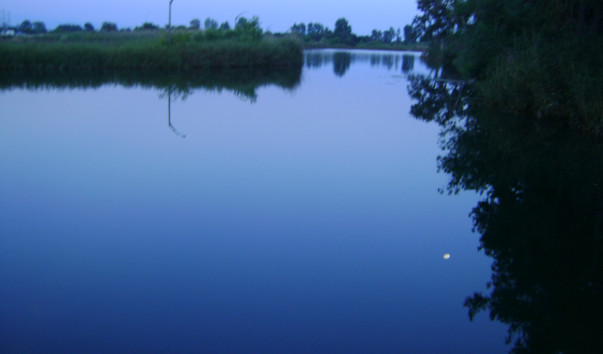 DSC04510