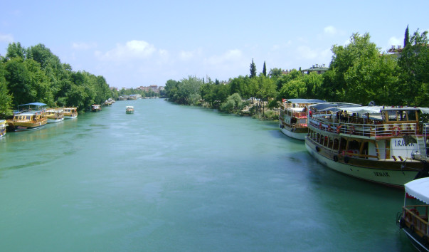 DSC04603
