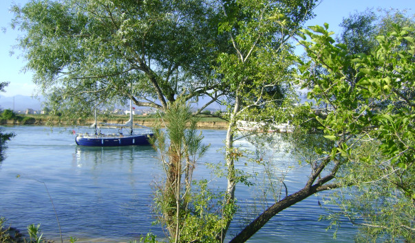 DSC04538