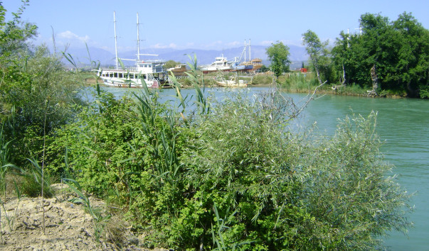 DSC04489